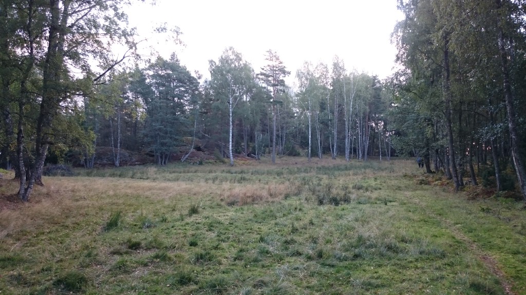 2015-09-13_08.36.29_SonyD6603.JPG