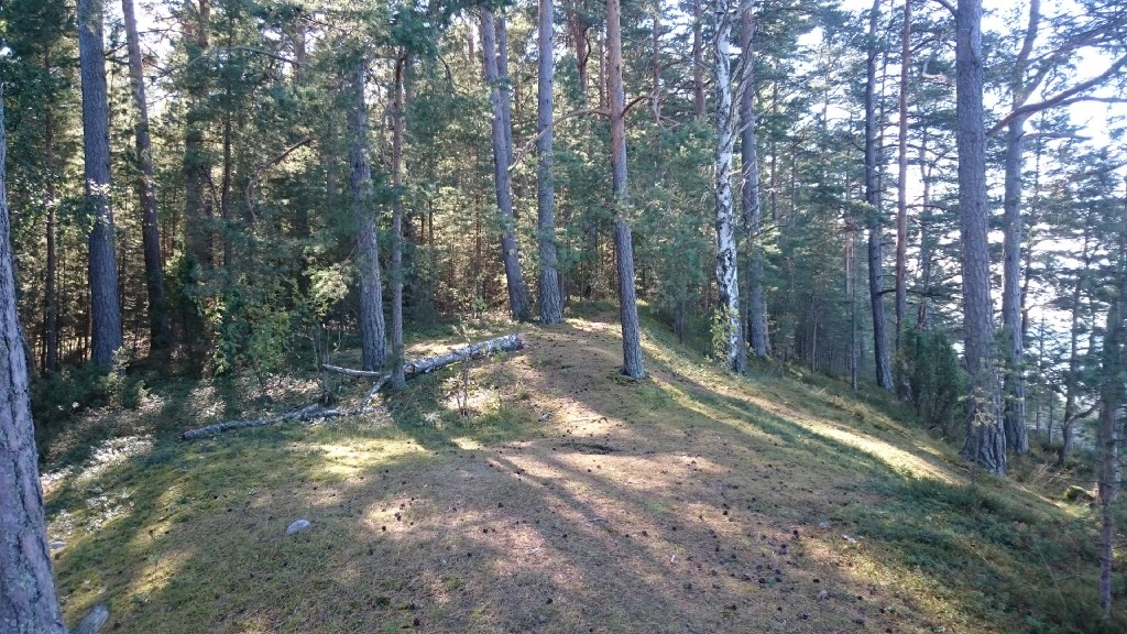 2015-09-13_14.44.19_SonyD6603.JPG
